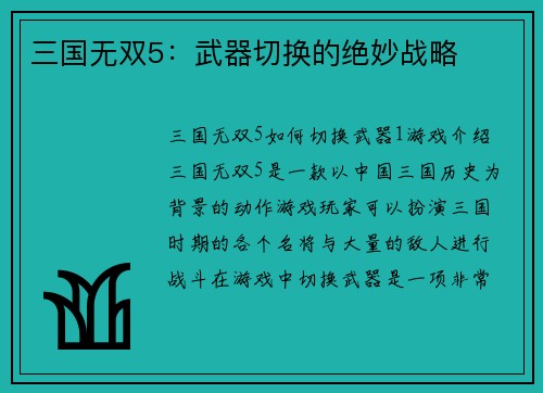 三国无双5：武器切换的绝妙战略