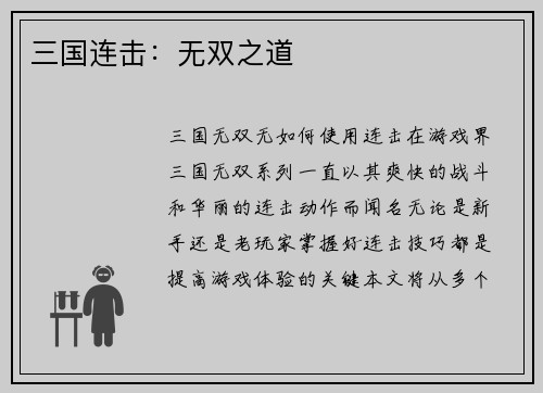 三国连击：无双之道